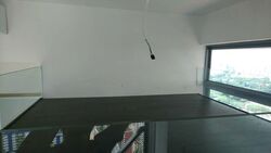 Spottiswoode 18 (D2), Apartment #505146341